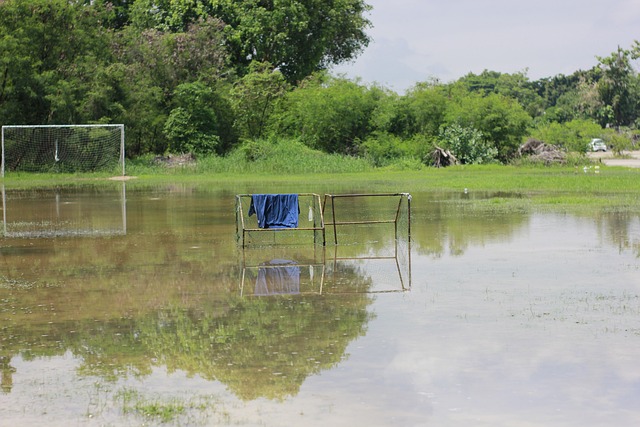 有些球员的 有些球员的